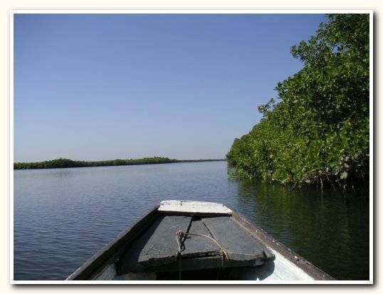 fluss gambia